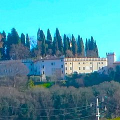 P1170125   Il Parco.